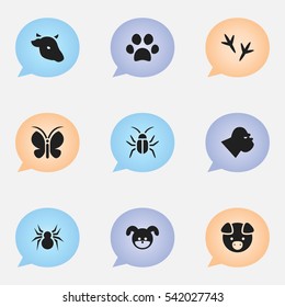 Set Of 9 Editable Zoo Icons. Includes Symbols Such As Cockroach, Chimpanzee, Puppy And More. Can Be Used For Web, Mobile, UI And Infographic Design.