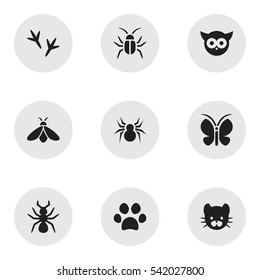 Set Of 9 Editable Zoo Icons. Includes Symbols Such As Feline, Footprint, Arachind And More. Can Be Used For Web, Mobile, UI And Infographic Design.