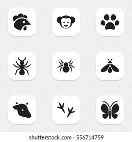 Set Of 9 Editable Zoo Icons. Includes Symbols Such As Arachind, Bedbug, Baboon And More. Can Be Used For Web, Mobile, UI And Infographic Design.