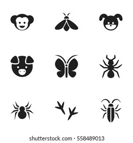 Set Of 9 Editable Zoo Icons. Includes Symbols Such As Arachind, Footprint, Hog And More. Can Be Used For Web, Mobile, UI And Infographic Design.