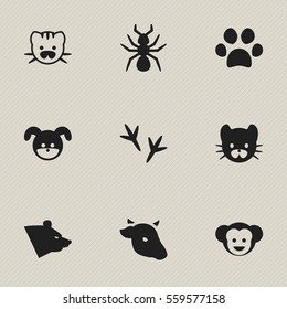 Set Of 9 Editable Zoo Icons. Includes Symbols Such As Puppy, Beast, Feline And More. Can Be Used For Web, Mobile, UI And Infographic Design.