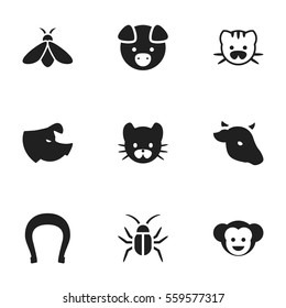 Set Of 9 Editable Zoo Icons. Includes Symbols Such As Bull, Sow, Cockroach And More. Can Be Used For Web, Mobile, UI And Infographic Design.