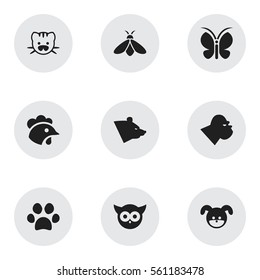 Set Of 9 Editable Zoo Icons. Includes Symbols Such As Bird, Chimpanzee, Grizzly And More. Can Be Used For Web, Mobile, UI And Infographic Design.