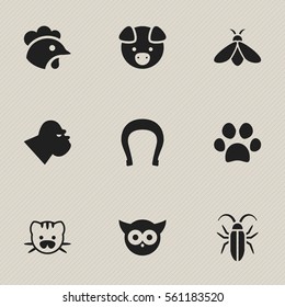 Set Of 9 Editable Zoo Icons. Includes Symbols Such As Beast, Honey, Chimpanzee And More. Can Be Used For Web, Mobile, UI And Infographic Design.