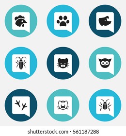 Set Of 9 Editable Zoo Icons. Includes Symbols Such As Sow, Bug, Footprint And More. Can Be Used For Web, Mobile, UI And Infographic Design.