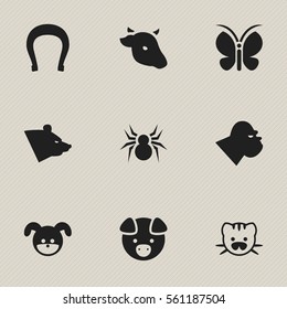 Set Of 9 Editable Zoo Icons. Includes Symbols Such As Hog, Talisman, Chimpanzee And More. Can Be Used For Web, Mobile, UI And Infographic Design.