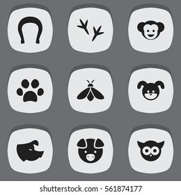 Set Of 9 Editable Zoo Icons. Includes Symbols Such As Puppy, Bird, Sow And More. Can Be Used For Web, Mobile, UI And Infographic Design.