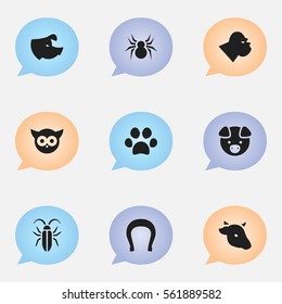 Set Of 9 Editable Zoo Icons. Includes Symbols Such As Arachind, Sow, Bird And More. Can Be Used For Web, Mobile, UI And Infographic Design.