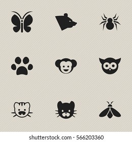 Set Of 9 Editable Zoo Icons. Includes Symbols Such As Bird, Arachind, Moth And More. Can Be Used For Web, Mobile, UI And Infographic Design.