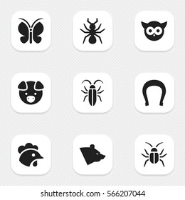 Set Of 9 Editable Zoo Icons. Includes Symbols Such As Bedbug, Hog, Rooster And More. Can Be Used For Web, Mobile, UI And Infographic Design.