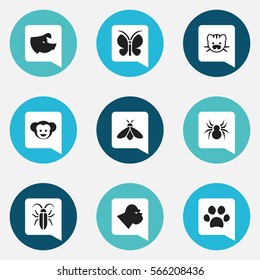 Set Of 9 Editable Zoo Icons. Includes Symbols Such As Sow, Honey, Bug And More. Can Be Used For Web, Mobile, UI And Infographic Design.