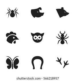 Set Of 9 Editable Zoo Icons. Includes Symbols Such As Arachind, Bird, Footprint And More. Can Be Used For Web, Mobile, UI And Infographic Design.