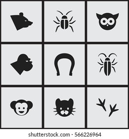 Set Of 9 Editable Zoo Icons. Includes Symbols Such As Bug, Grizzly, Cockroach And More. Can Be Used For Web, Mobile, UI And Infographic Design.