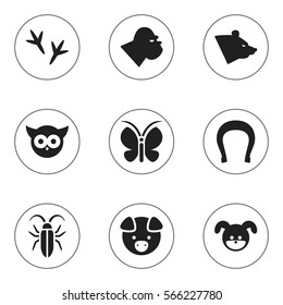 Set Of 9 Editable Zoo Icons. Includes Symbols Such As Footprint, Bird, Bug And More. Can Be Used For Web, Mobile, UI And Infographic Design.