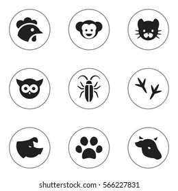 Set Of 9 Editable Zoo Icons. Includes Symbols Such As Forepaw, Bug, Footprint And More. Can Be Used For Web, Mobile, UI And Infographic Design.