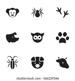 Set Of 9 Editable Zoo Icons. Includes Symbols Such As Hog, Forepaw, Arachind And More. Can Be Used For Web, Mobile, UI And Infographic Design.