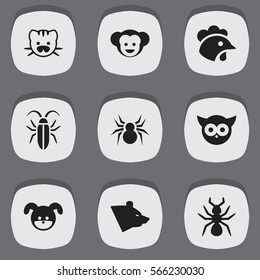 Set Of 9 Editable Zoo Icons. Includes Symbols Such As Bug, Arachind, Baboon And More. Can Be Used For Web, Mobile, UI And Infographic Design.