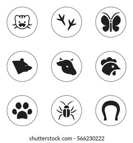 Set Of 9 Editable Zoo Icons. Includes Symbols Such As Footprint, Beast, Rooster And More. Can Be Used For Web, Mobile, UI And Infographic Design.