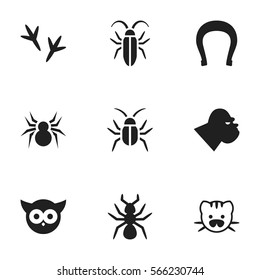 Set Of 9 Editable Zoo Icons. Includes Symbols Such As Footprint, Arachind, Chimpanzee And More. Can Be Used For Web, Mobile, UI And Infographic Design.