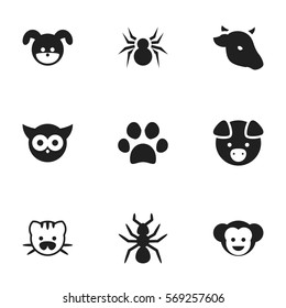 Set Of 9 Editable Zoo Icons. Includes Symbols Such As Arachind, Bull, Puppy And More. Can Be Used For Web, Mobile, UI And Infographic Design.