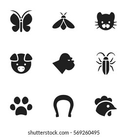 Set Of 9 Editable Zoo Icons. Includes Symbols Such As Hog, Moth, Feline And More. Can Be Used For Web, Mobile, UI And Infographic Design.