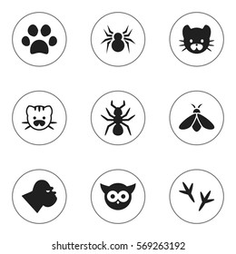 Set Of 9 Editable Zoo Icons. Includes Symbols Such As Footprint, Feline, Arachind And More. Can Be Used For Web, Mobile, UI And Infographic Design.