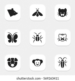 Set Of 9 Editable Zoo Icons. Includes Symbols Such As Honey, Cockroach, Baboon And More. Can Be Used For Web, Mobile, UI And Infographic Design.