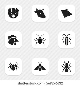 Set Of 9 Editable Zoo Icons. Includes Symbols Such As Bug, Hog, Bull And More. Can Be Used For Web, Mobile, UI And Infographic Design.