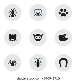 Set Of 9 Editable Zoo Icons. Includes Symbols Such As Forepaw, Feline, Sow And More. Can Be Used For Web, Mobile, UI And Infographic Design.