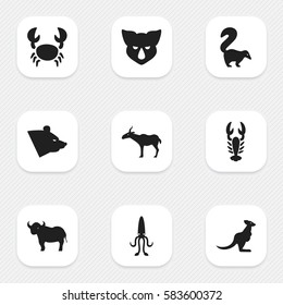 Set Of 9 Editable Zoo Icons. Includes Symbols Such As Wallaby, Gazelle, Grizzly And More. Can Be Used For Web, Mobile, UI And Infographic Design.
