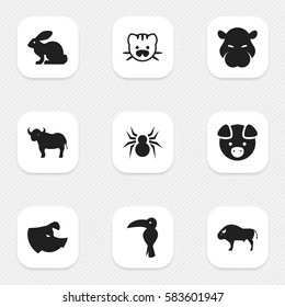 Set Of 9 Editable Zoo Icons. Includes Symbols Such As Ox, Sow, Bison And More. Can Be Used For Web, Mobile, UI And Infographic Design.