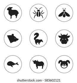 Set Of 9 Editable Zoo Icons. Includes Symbols Such As Ox, Ocean Blower, Puppy And More. Can Be Used For Web, Mobile, UI And Infographic Design.