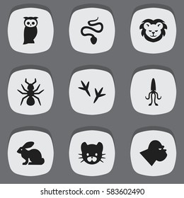 Set Of 9 Editable Zoo Icons. Includes Symbols Such As Serpent, Chimpanzee, Bunny And More. Can Be Used For Web, Mobile, UI And Infographic Design.