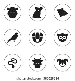 Set Of 9 Editable Zoo Icons. Includes Symbols Such As Hog, Grizzly, Hippopotamus And More. Can Be Used For Web, Mobile, UI And Infographic Design.