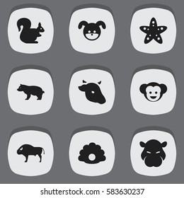 Set Of 9 Editable Zoo Icons. Includes Symbols Such As Polar Animal, Wild Rodent, Baboon And More. Can Be Used For Web, Mobile, UI And Infographic Design.