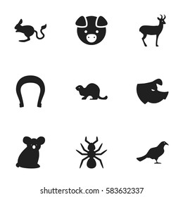Set Of 9 Editable Zoo Icons. Includes Symbols Such As Jerboa, Talisman, Wildlife Castor And More. Can Be Used For Web, Mobile, UI And Infographic Design.