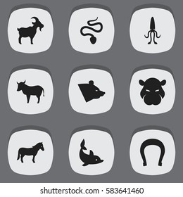 Set Of 9 Editable Zoo Icons. Includes Symbols Such As Playful Fish, Talisman, Stallion And More. Can Be Used For Web, Mobile, UI And Infographic Design.