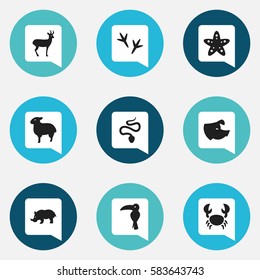 Set Of 9 Editable Zoo Icons. Includes Symbols Such As Sea Star, Reindeer, Footprint And More. Can Be Used For Web, Mobile, UI And Infographic Design.