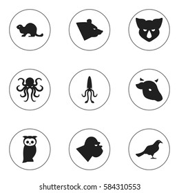 Set Of 9 Editable Zoo Icons. Includes Symbols Such As Grizzly, Rhinoceros, Gull And More. Can Be Used For Web, Mobile, UI And Infographic Design.