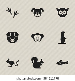 Set Of 9 Editable Zoo Icons. Includes Symbols Such As Groundhog, Hog, Night Fowl And More. Can Be Used For Web, Mobile, UI And Infographic Design.