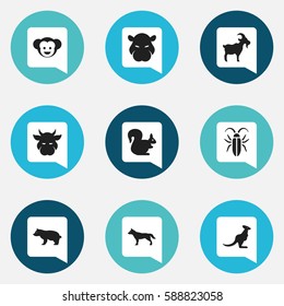 Set Of 9 Editable Zoo Icons. Includes Symbols Such As Dog, Bug, Kine And More. Can Be Used For Web, Mobile, UI And Infographic Design.