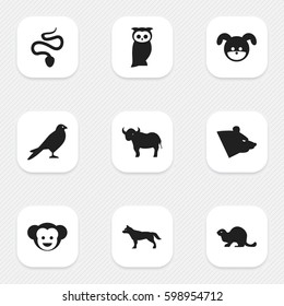 Set Of 9 Editable Zoo Icons. Includes Symbols Such As Owl, Puppy, Baboon And More. Can Be Used For Web, Mobile, UI And Infographic Design.