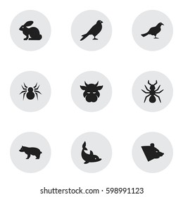 Set Of 9 Editable Zoo Icons. Includes Symbols Such As Playful Fish, Bedbug, Bunny And More. Can Be Used For Web, Mobile, UI And Infographic Design.