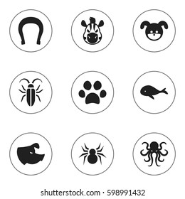 Set Of 9 Editable Zoo Icons. Includes Symbols Such As Ocean Blower, Horse, Arachind And More. Can Be Used For Web, Mobile, UI And Infographic Design.