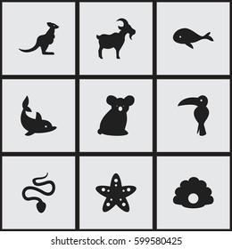 Set Of 9 Editable Zoo Icons. Includes Symbols Such As Ocean Blower, Tropical Bird, Conch And More. Can Be Used For Web, Mobile, UI And Infographic Design.