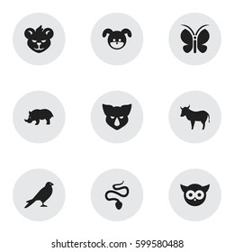 Set Of 9 Editable Zoo Icons. Includes Symbols Such As Serpent, Moth, Puppy And More. Can Be Used For Web, Mobile, UI And Infographic Design.