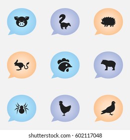 Set Of 9 Editable Zoo Icons. Includes Symbols Such As Pigeon, Panda, Arachind. Can Be Used For Web, Mobile, UI And Infographic Design.