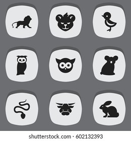 Set Of 9 Editable Zoo Icons. Includes Symbols Such As Australian Bear, Bird, Serpent And More. Can Be Used For Web, Mobile, UI And Infographic Design.