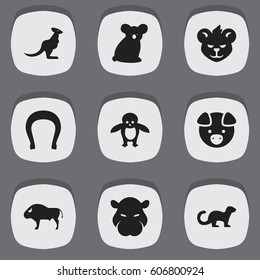 Set Of 9 Editable Zoo Icons. Includes Symbols Such As Penguin, Hippopotamus, Talisman And More. Can Be Used For Web, Mobile, UI And Infographic Design.