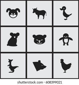 Set Of 9 Editable Zoo Icons. Includes Symbols Such As Puma, Australian Bear, Cock And More. Can Be Used For Web, Mobile, UI And Infographic Design.